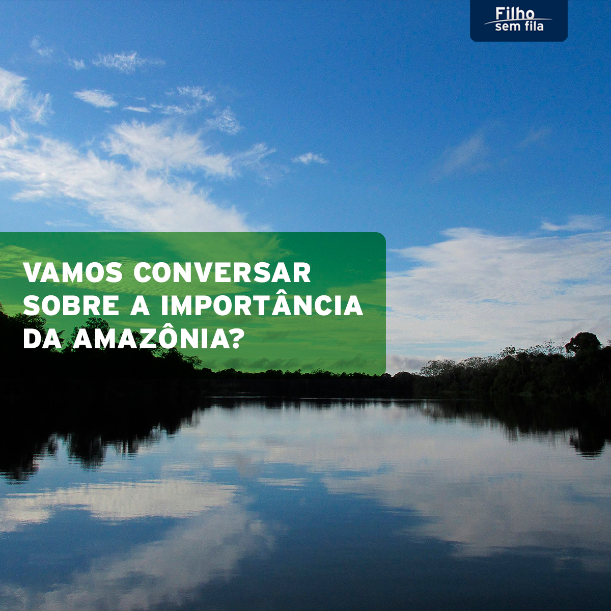 Vamos conversar sobre a importância da Amazônia?